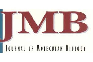 New JMB